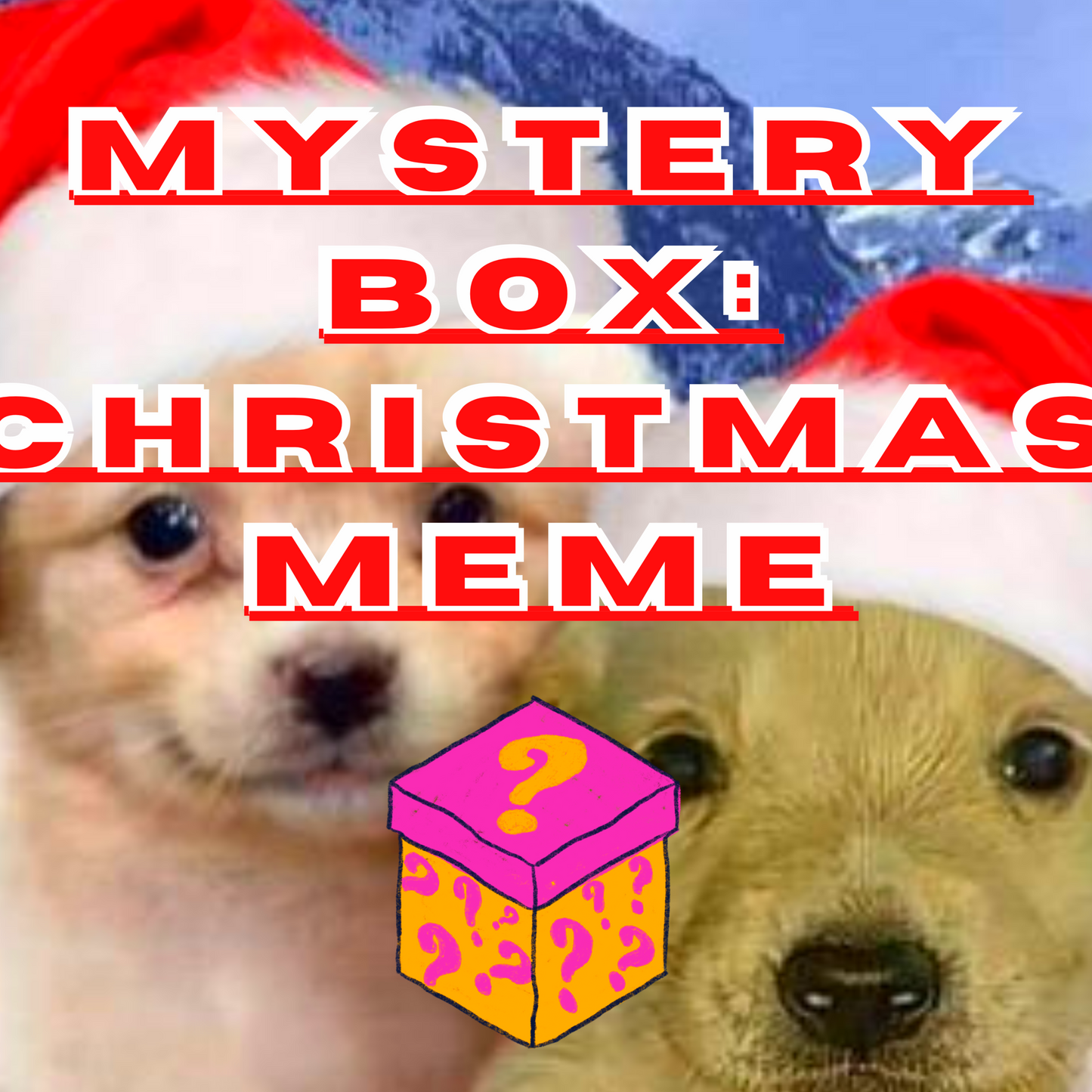 MYSTERY BOX - Christmas Meme