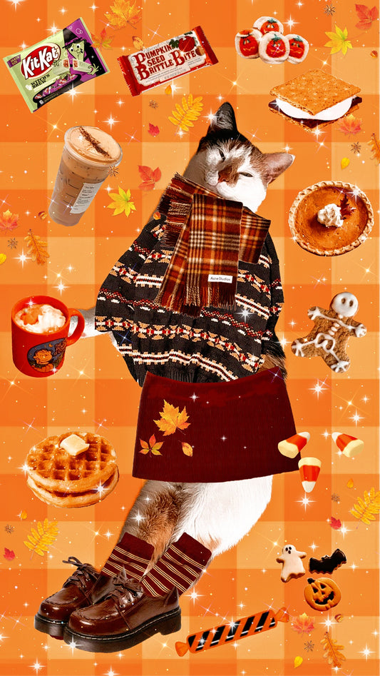 Fall treats phone background  🎃