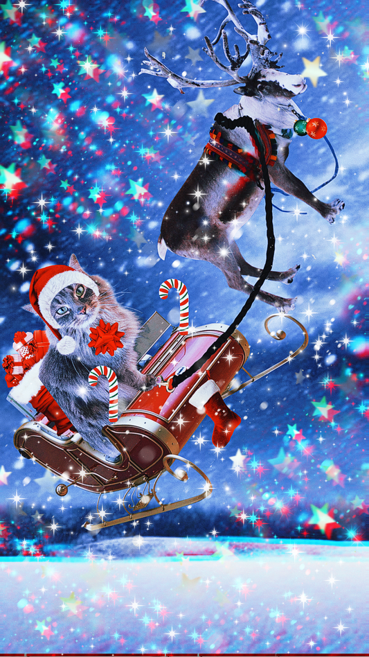 Flying reindeer edit